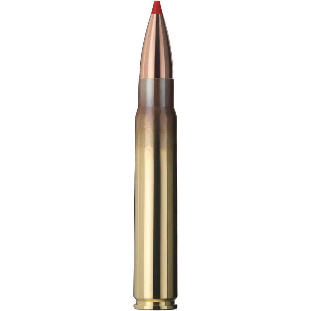 9,3x62, Express (16,5gr), Geco