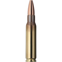 .308 Win., Plus (11gr), Geco