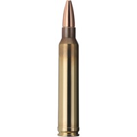 .300 Win. Mag., Plus (11gr), Geco