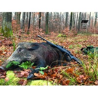 Lunette de visée Meostar R2 1-6X24, Meopta