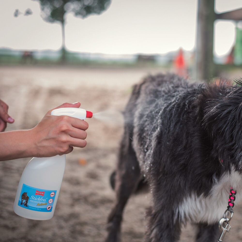 Produit insectifuge pour animaux de compagnie, BALLISTOL