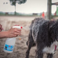 Produit insectifuge pour animaux de compagnie, BALLISTOL