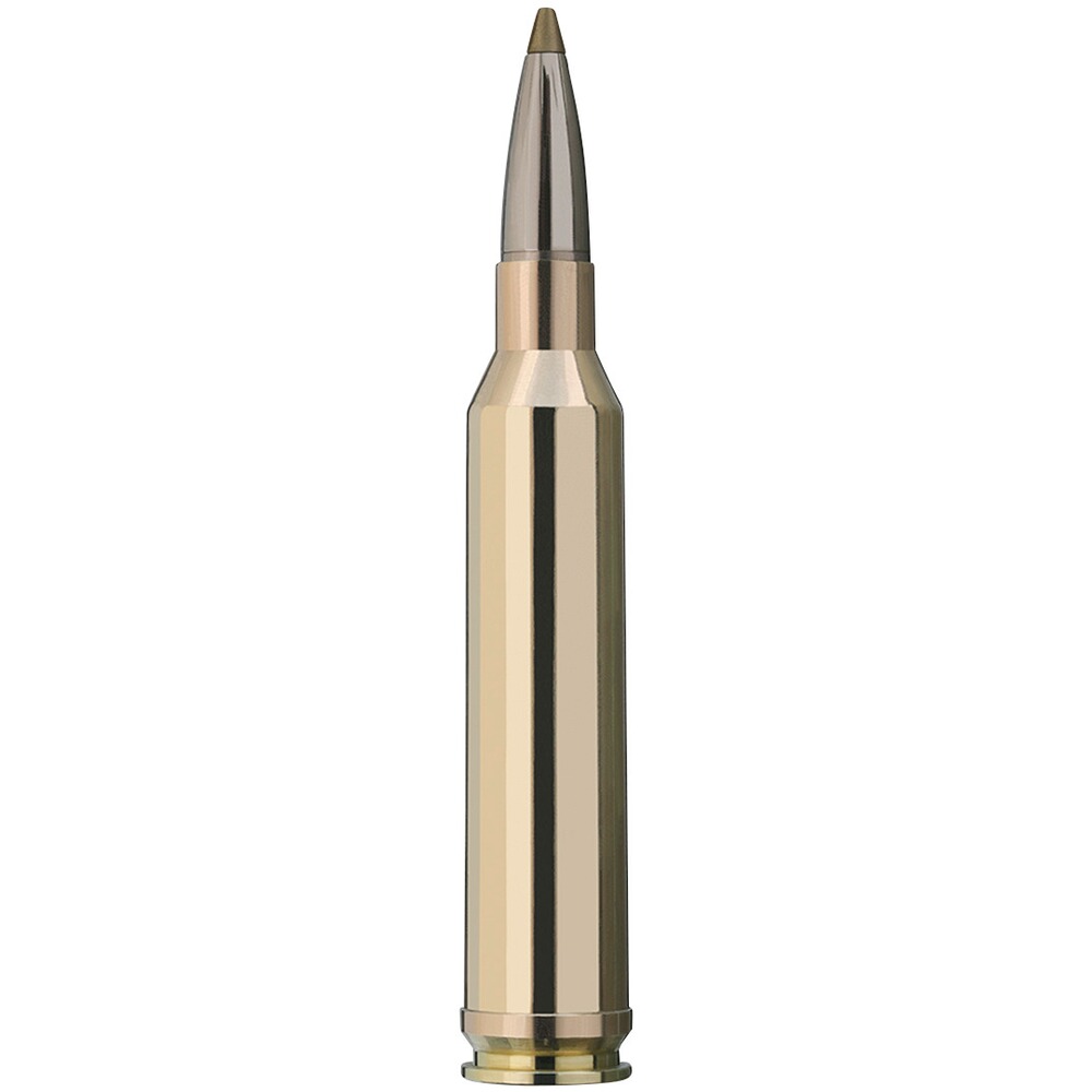 .7mm Rem. Mag., Evolution Green (8,2gr), RWS