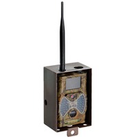 Boitier en acier pour piège photo, SEISSIGER