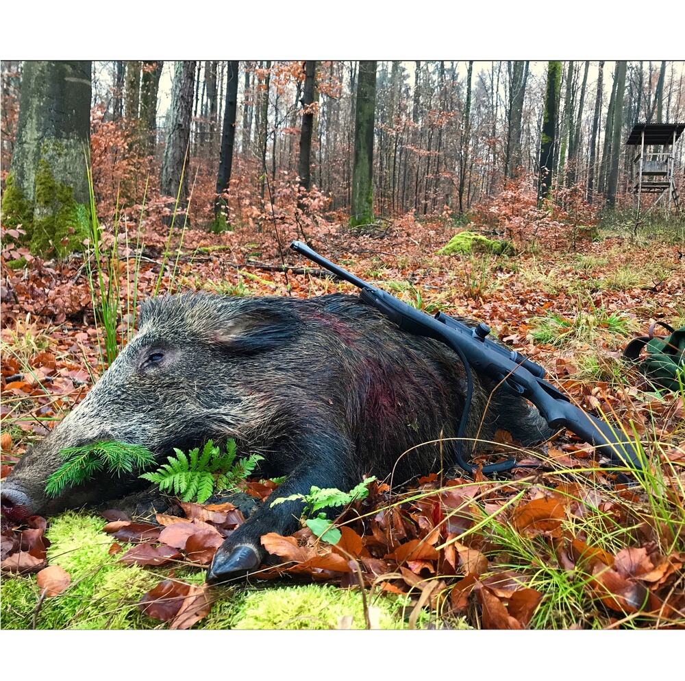 Lunette de visée Meostar R2 1-6X24, Meopta