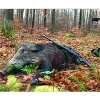 Lunette de visée Meostar R2 1-6X24, Meopta