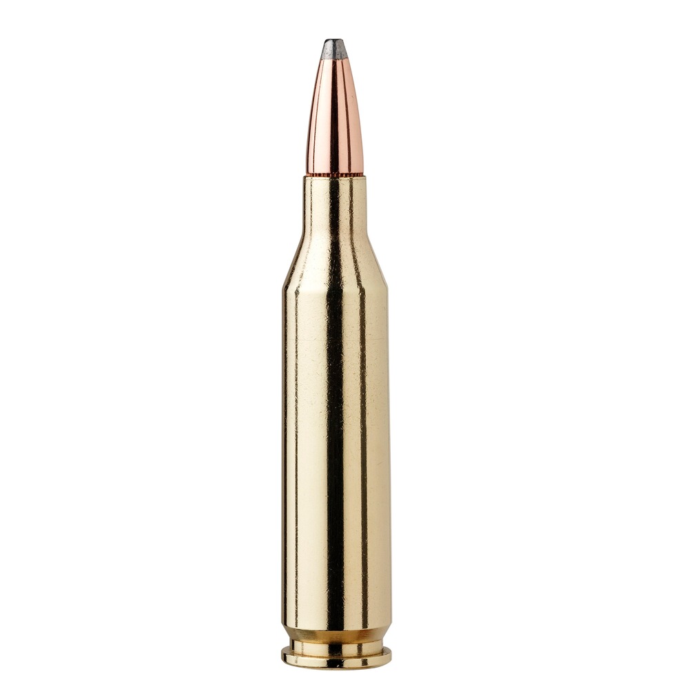 .30-06 Spr. American Whitetail, Interlock SP 180 grs., Hornady