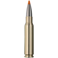 .308 Win., HIT (10,7gr), RWS