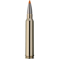 .300 Win. Mag., HIT (10,7gr), RWS