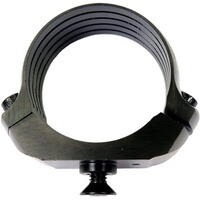 Module Ring BASIS®, Dentler