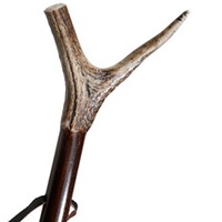 Cannes de pirsch traditionnelle, Parforce