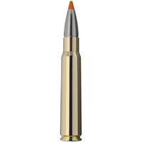 8x57 IS HIT 160 grs., RWS