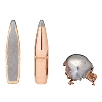 9,3x62, Soft Point IL (18,5gr), Hornady