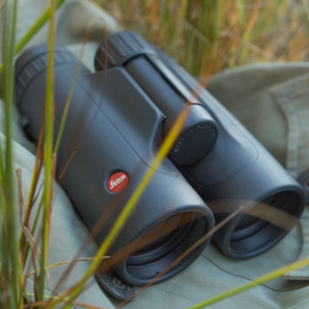 Jumelles d'affût Trinovid 10x42 HD, Leica