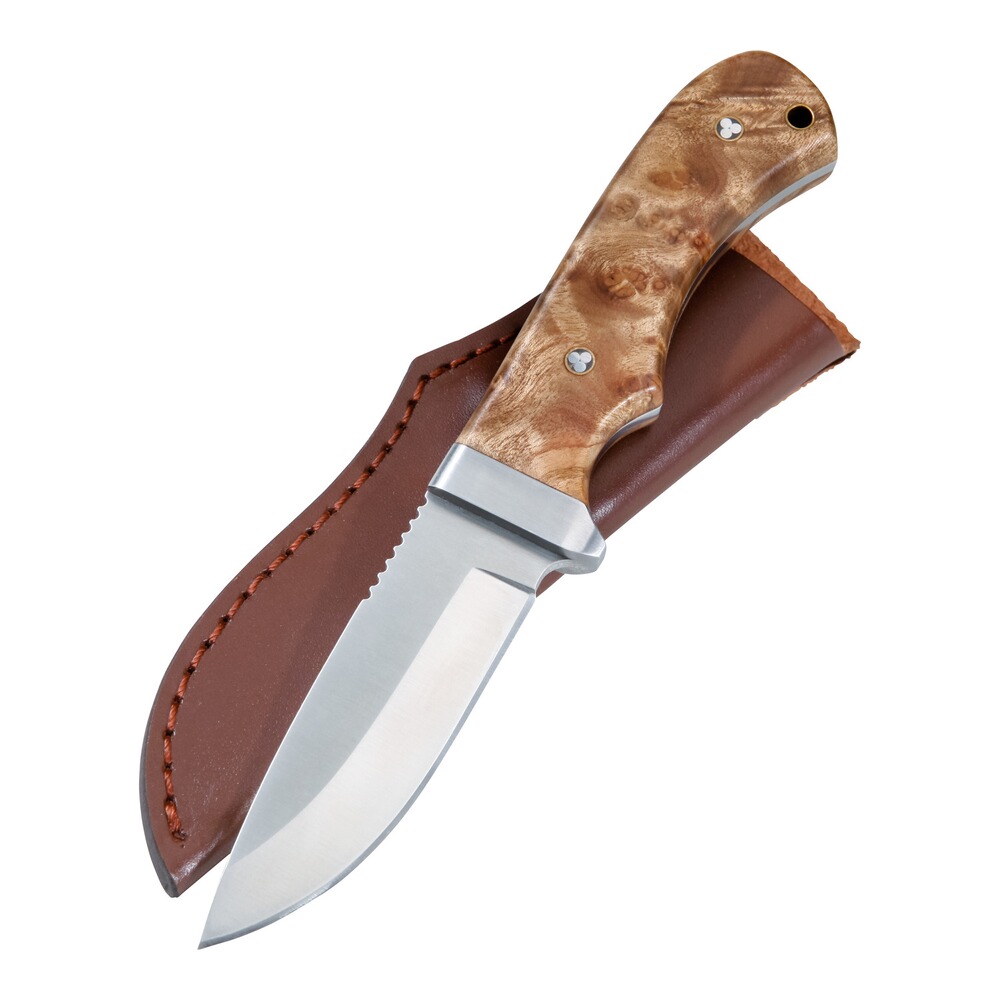 Couteau Wurzelholz avec manche en bois de ronce, Parforce