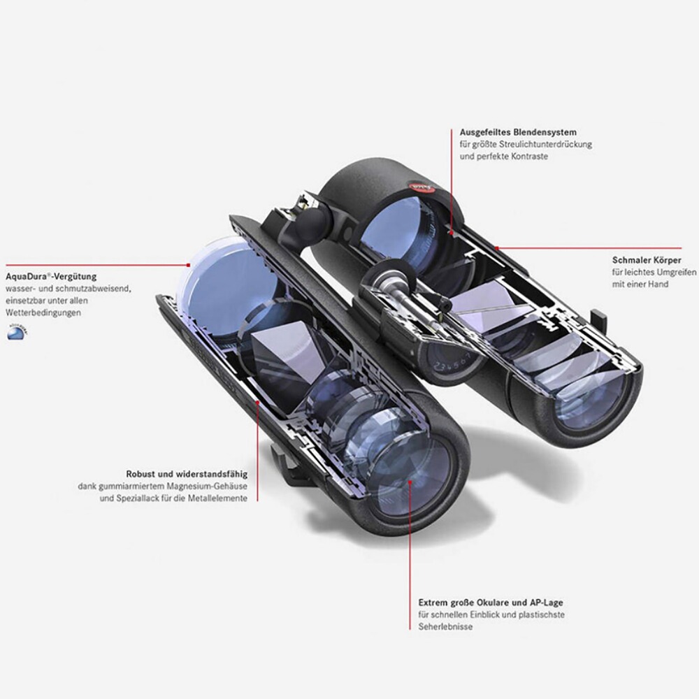 Fernglas Noctivid 8x42, Leica