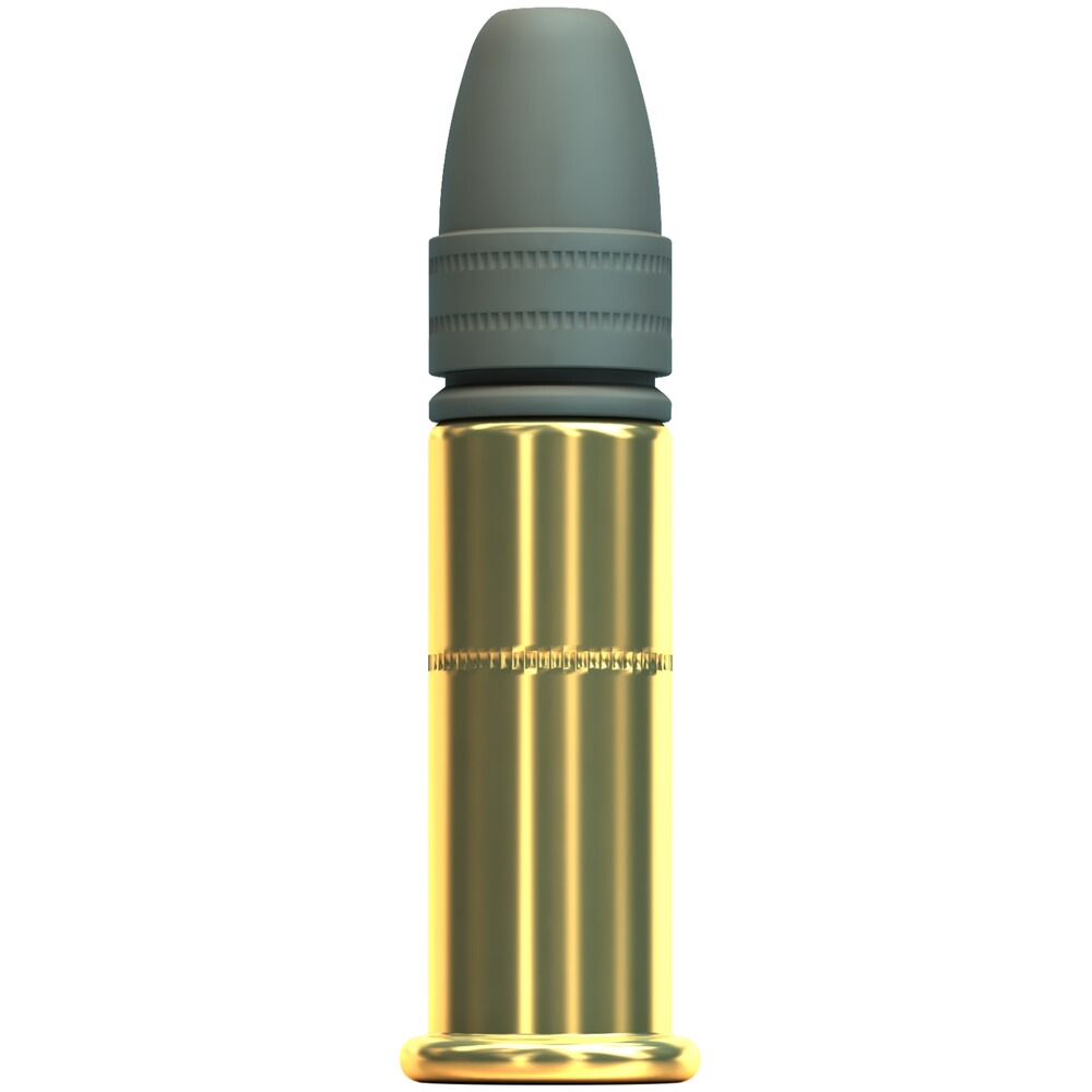 .22lr Subsonic LRN 40grs., Sellier & Bellot