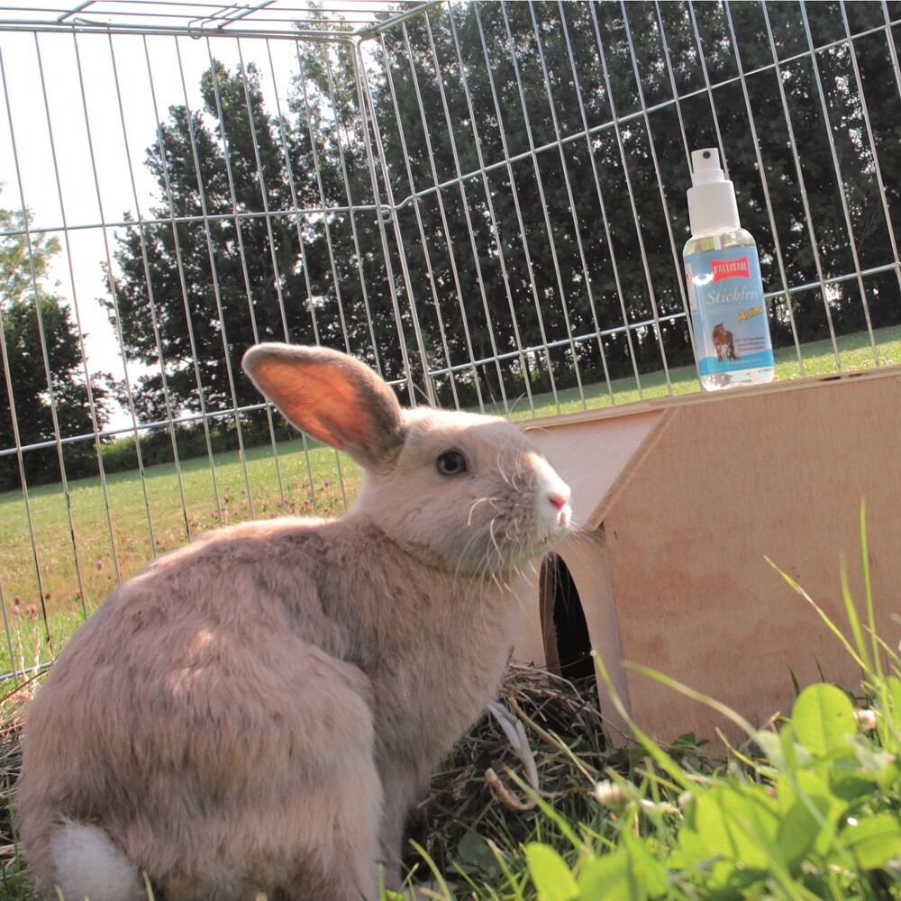 Produit insectifuge pour animaux de compagnie, BALLISTOL