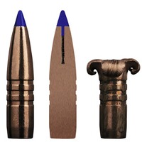 .308 Win. Barnes TTSX 10,9g/168grs., Sako