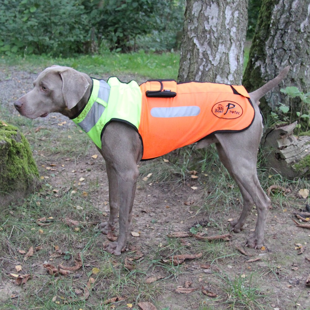 Gilet de protection pour chien Boar Protec, Boar Protec