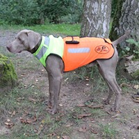 Gilet de protection pour chien Boar Protec, Boar Protec