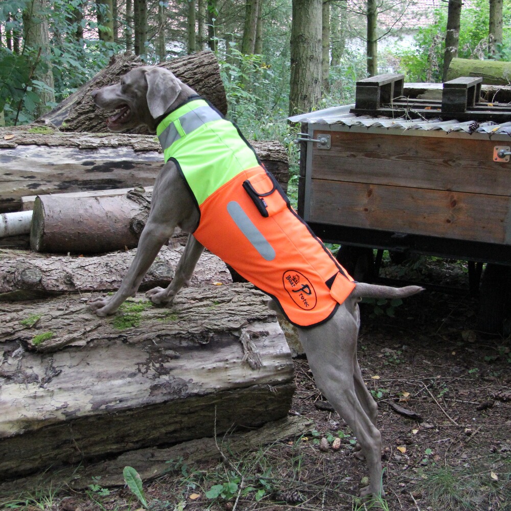 Gilet de protection pour chien Boar Protec, Boar Protec