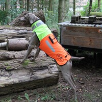 Gilet de protection pour chien Boar Protec, Boar Protec