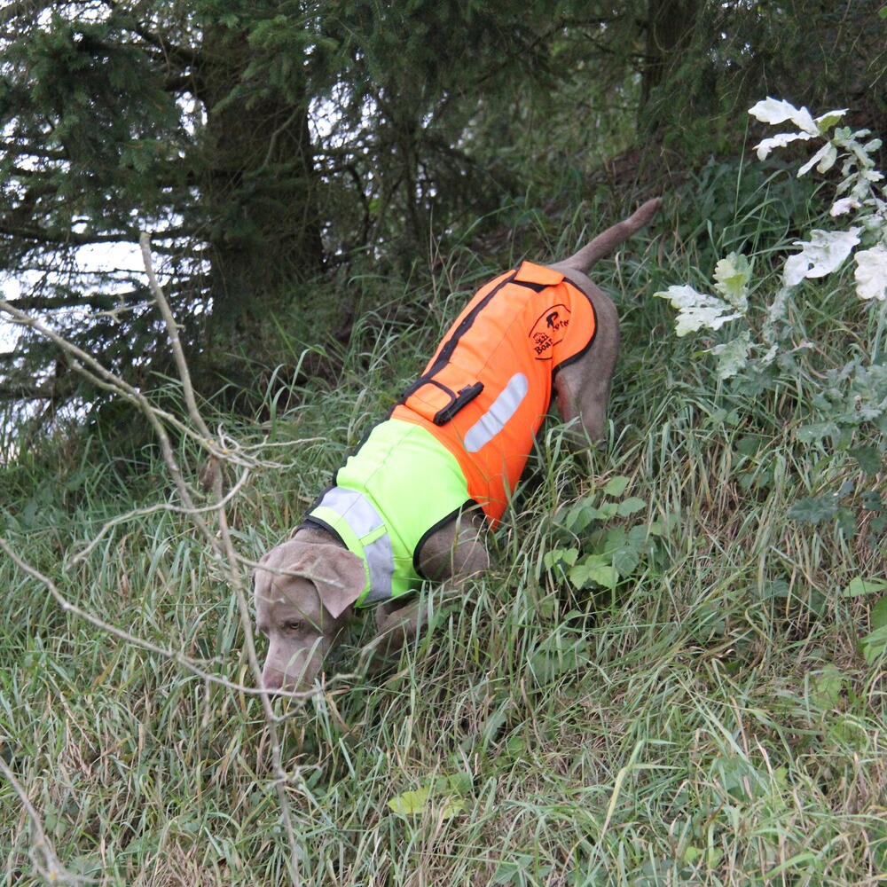 Gilet de protection pour chien Boar Protec, Boar Protec