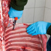 Ciseau de boucher à dépecer, LÖWE