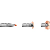 9,3x62 HIT 16,2g/250grs., RWS