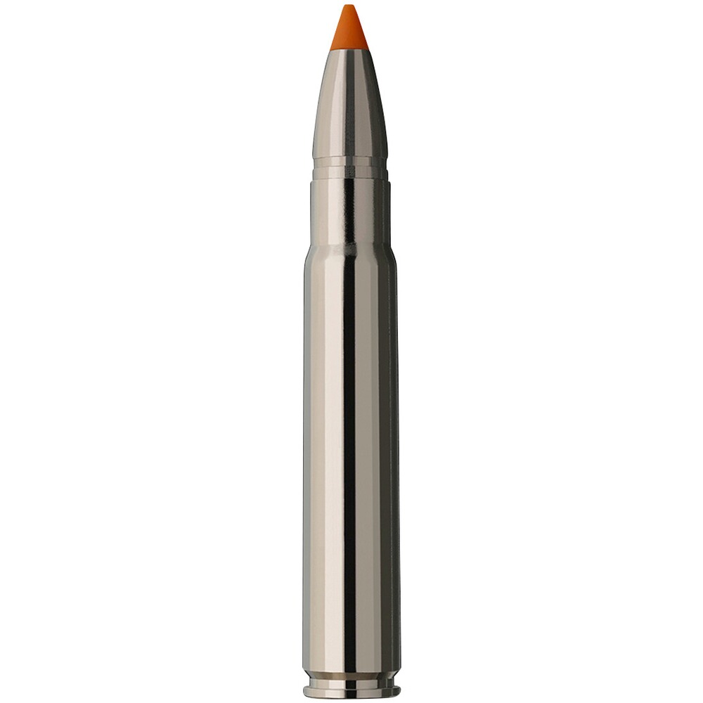 Cartouche RWS HIT 9,3x62 Short Rifle, RWS