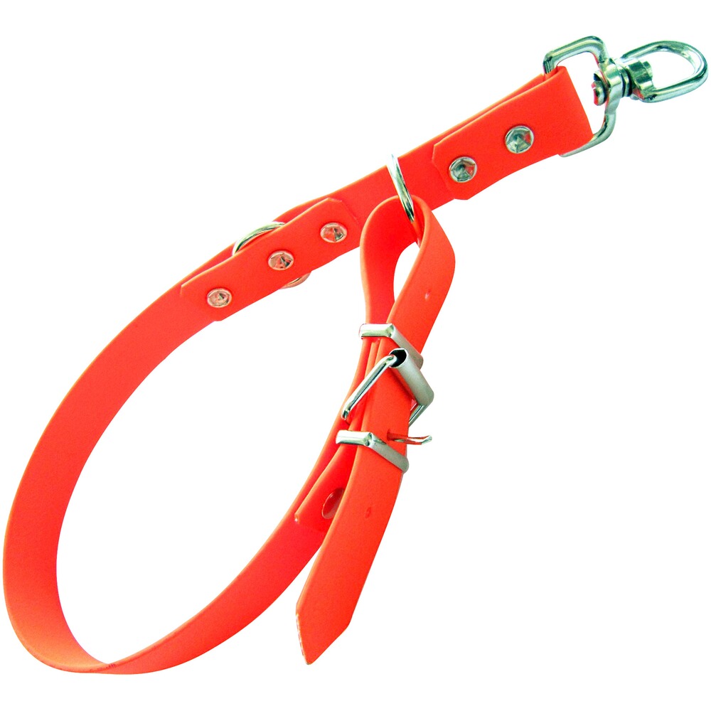 Collier pour chien avec arrêt et anneau rotatif