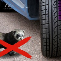 Répulsif à martres électronique Tevigo Indoor LED