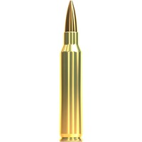 .223 Rem. OTM HPBT 4,5g/69grs., Sellier & Bellot