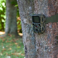 Piège photo compact Full HD 16 MP