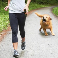 Abwehrspray KO FOG, BALLISTOL