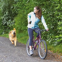 Abwehrspray KO FOG, BALLISTOL