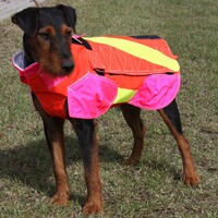 Gilet Standard, Out Dog