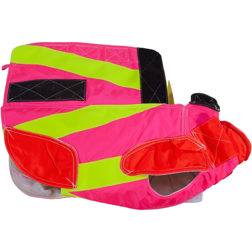 Gilet Standard, Out Dog