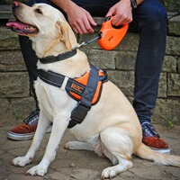 Harnais RAC Comfort, Heim