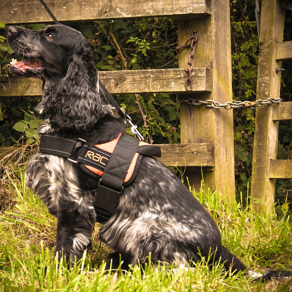 Harnais RAC Comfort, Heim