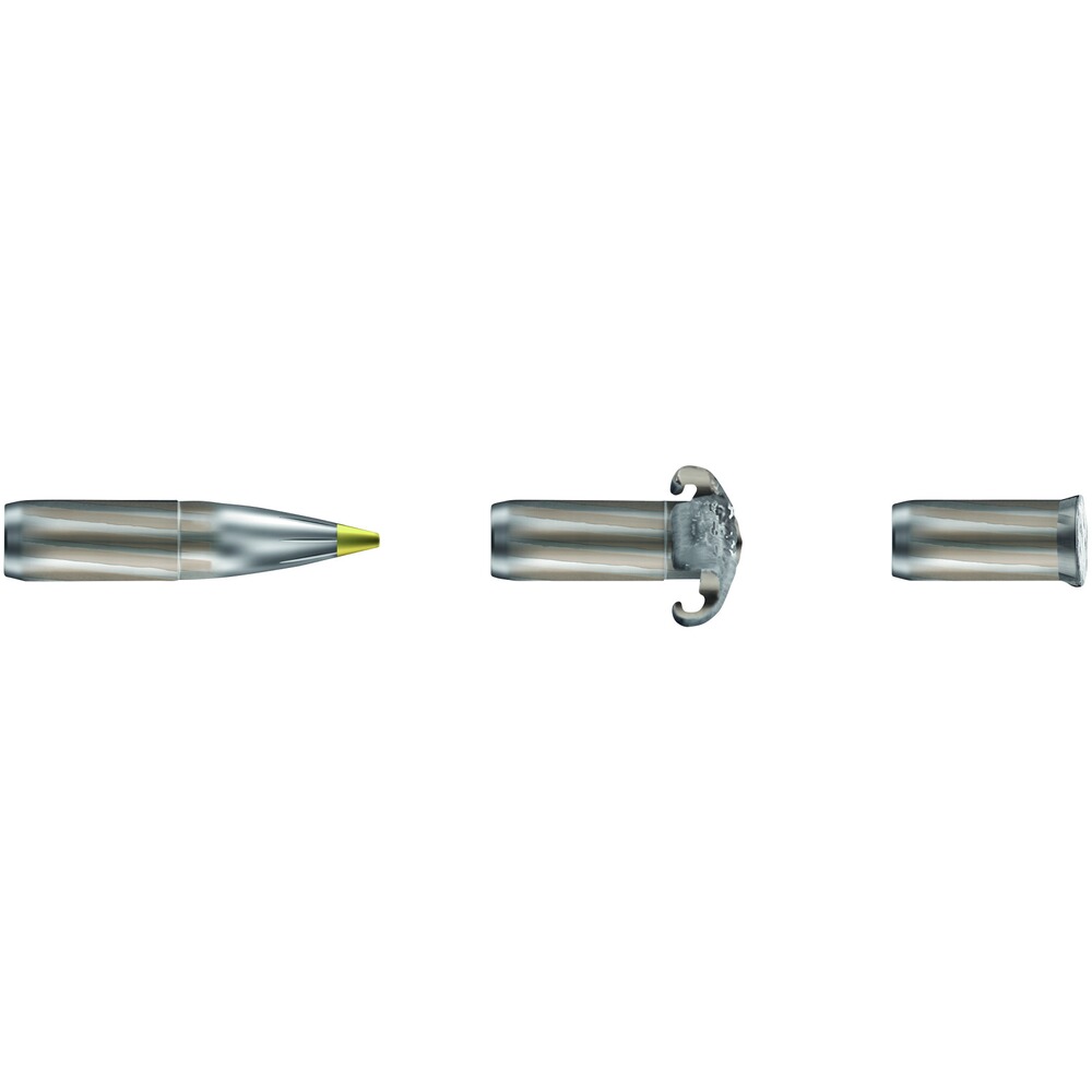 9,3x62, Evolution Green (11,9gr), RWS