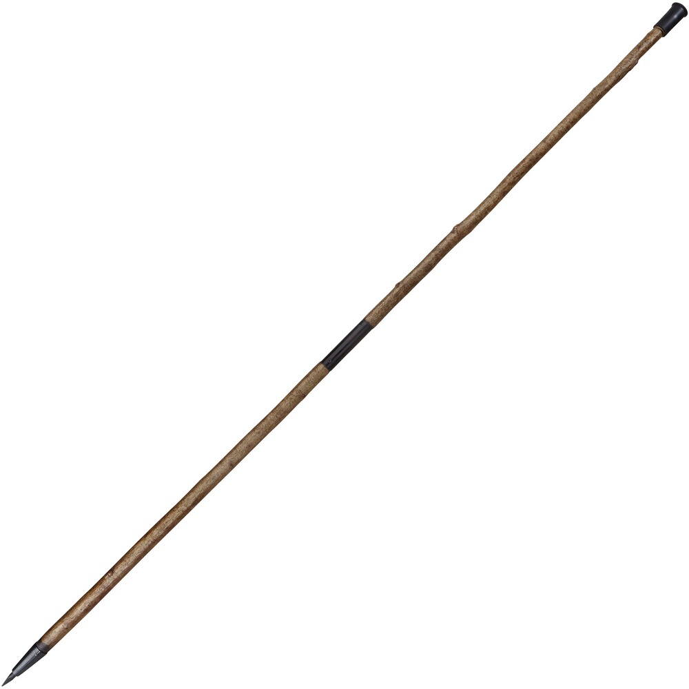 Canne de pirsch 2 pièces