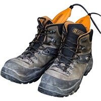 Chauffe-chaussure Circulation 230V vert, Alpenheat