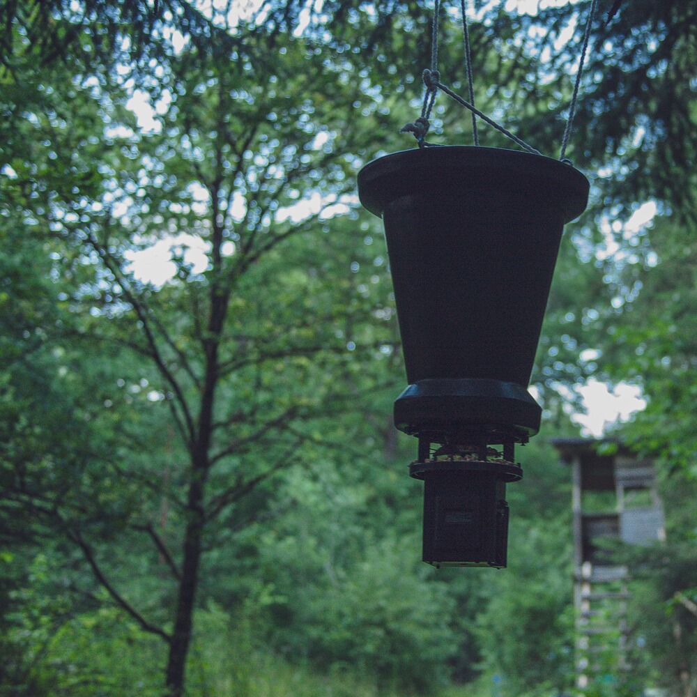 Agrainoir automatique digital Professional