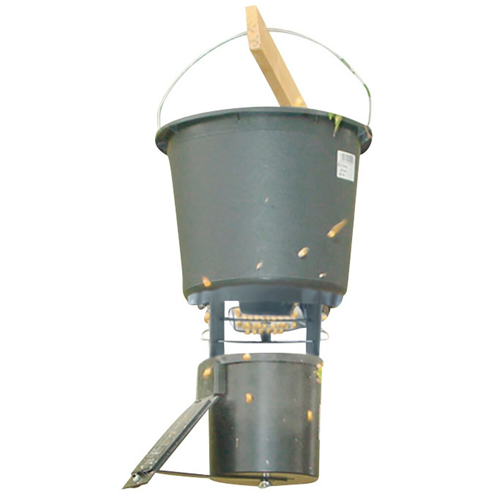 Agrainoir automatique digital Professional