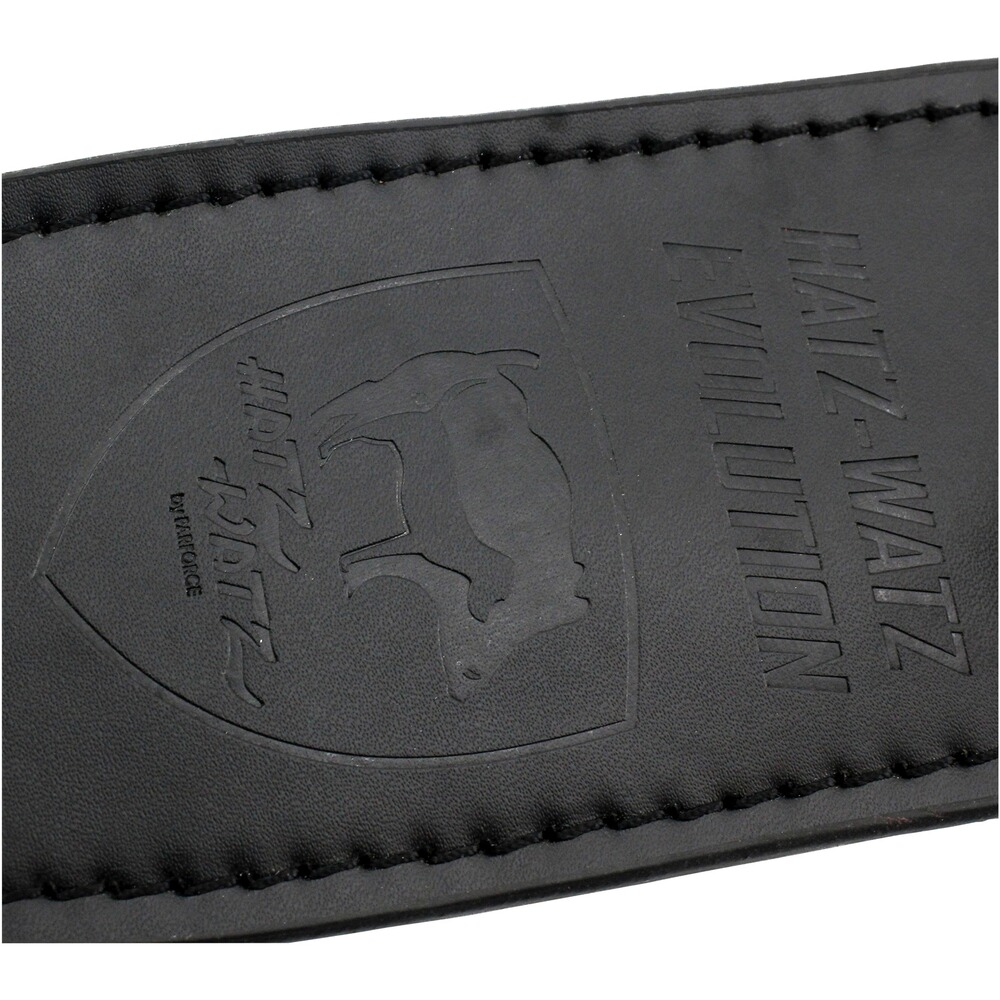 Dague de chasse Hatz-Watz Evolution, Parforce