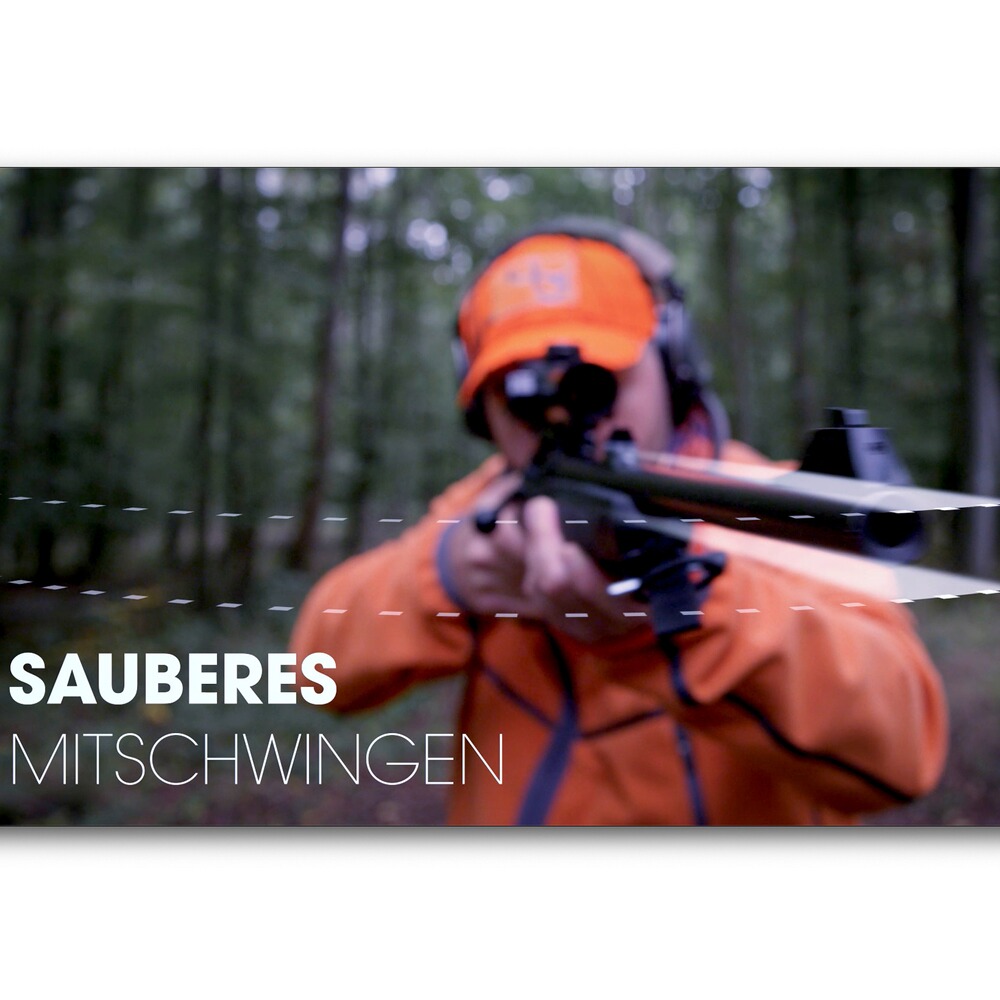 SH2 Drückjagd, Sauenhammer