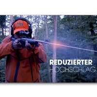 SH2 Drückjagd, Sauenhammer