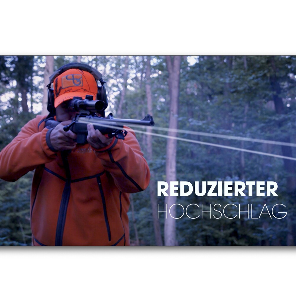 SH2 Drückjagd, Sauenhammer